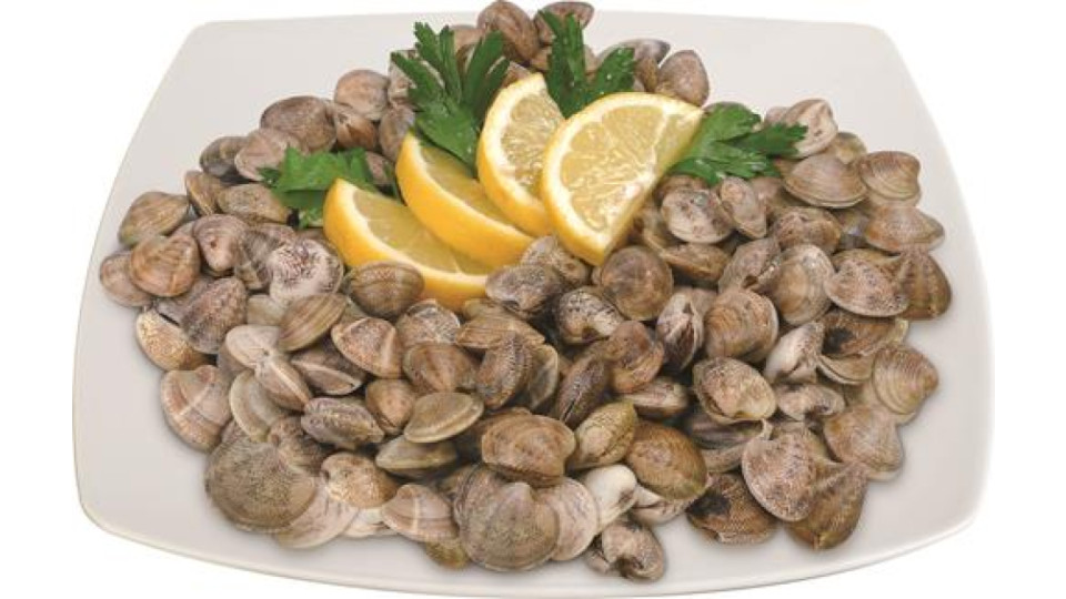 LUPINI "I PESCHERECCI"