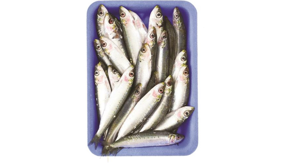 SARDINE I PESCHERECCI