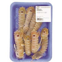 CANOCCHIA I PESCHERECCI