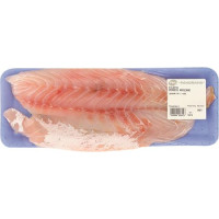 FILETTO PERSICO AFRICANO