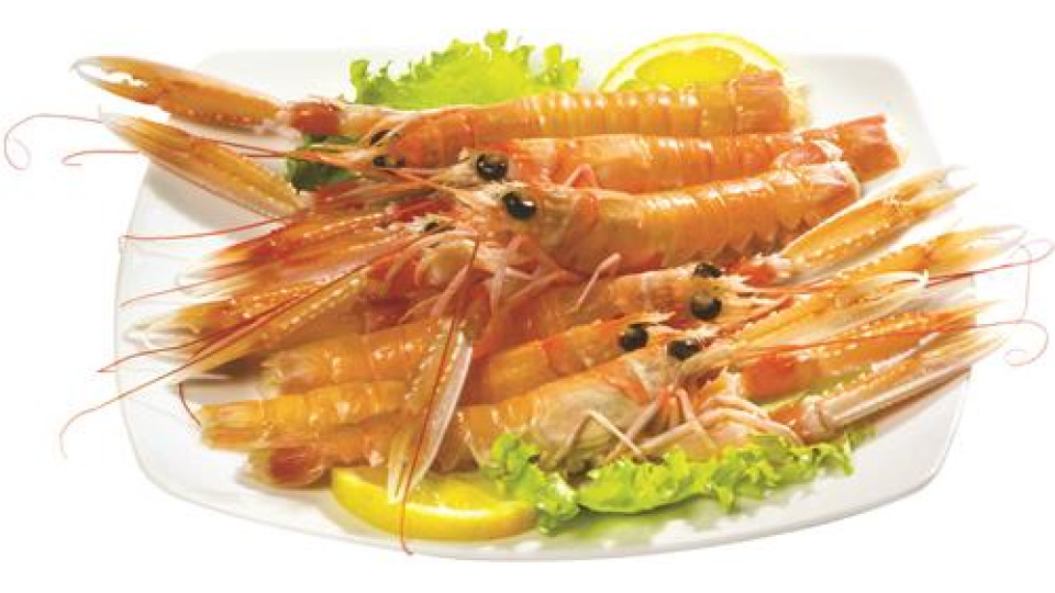 SCAMPI PICCOLI