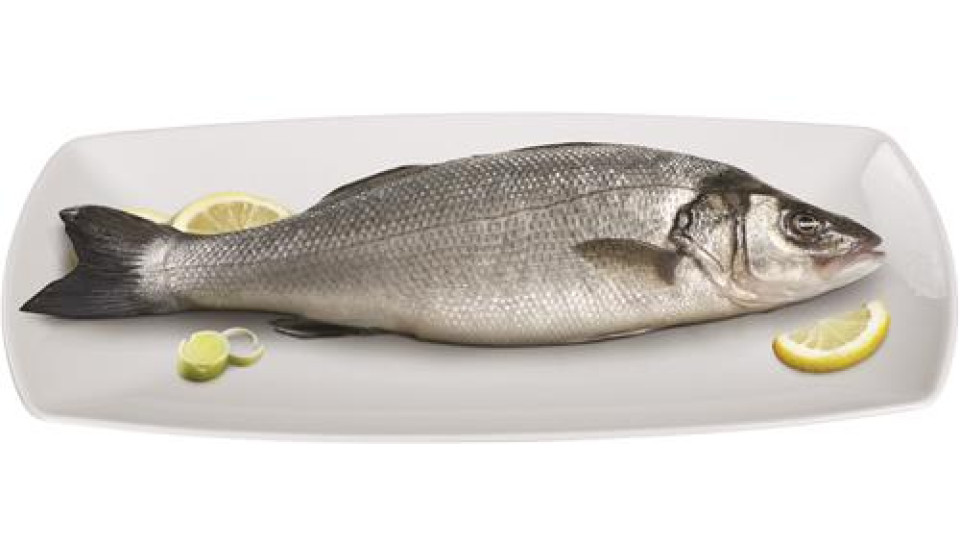 BRANZINO NAZIONALE