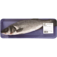 BRANZINO EVISCERATO