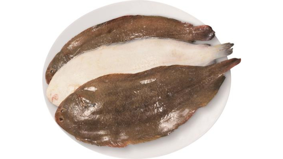 SOGLIOLE EVISCERATE