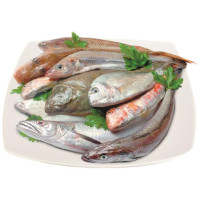 FRITTURA DEL TIRRENO