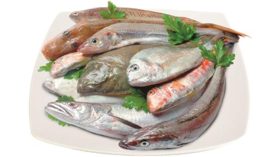 FRITTURA DEL TIRRENO