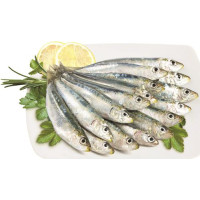 SARDINA