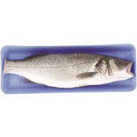 BRANZINO