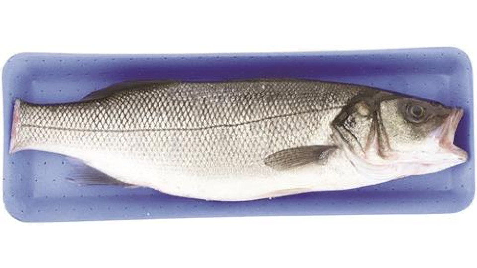 BRANZINO