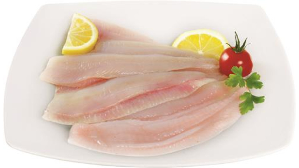 FILETTO DI PLATESSA
