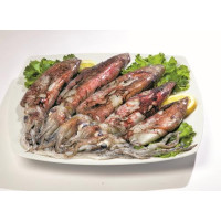 CALAMARI FRESCHI
