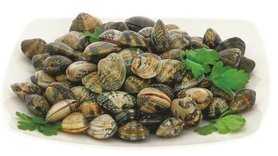 VONGOLE VERACI GRANDI 0,5 KG