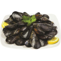 COZZE DI SARDEGNA