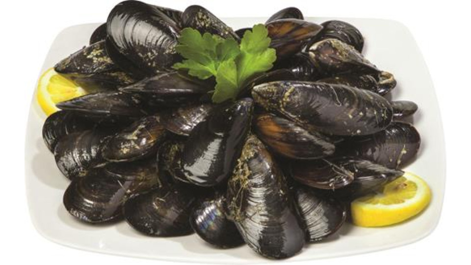 COZZE DI SARDEGNA
