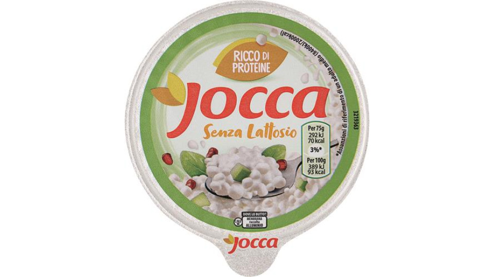FIOCCHI DI LATTE SENZA LATTOSIO A BASE DI FORMAGGIO FRESCO MAGRO