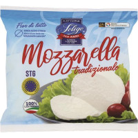 MOZZAR SOLIGO STG BUST