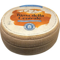 TUMA DELLA CENTRALE
