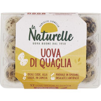 12 UOVA QUAGLIA