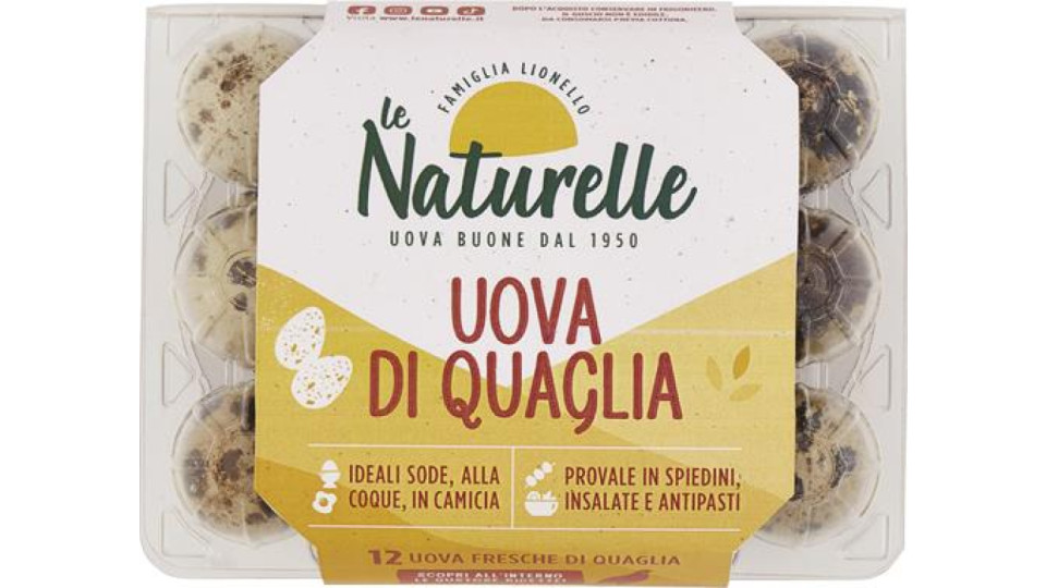 12 UOVA QUAGLIA