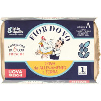 6 FIORDOVO TERRA MEDIE TIGULLIO