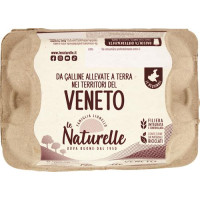 6 NATURELLE L TERRA VENETE