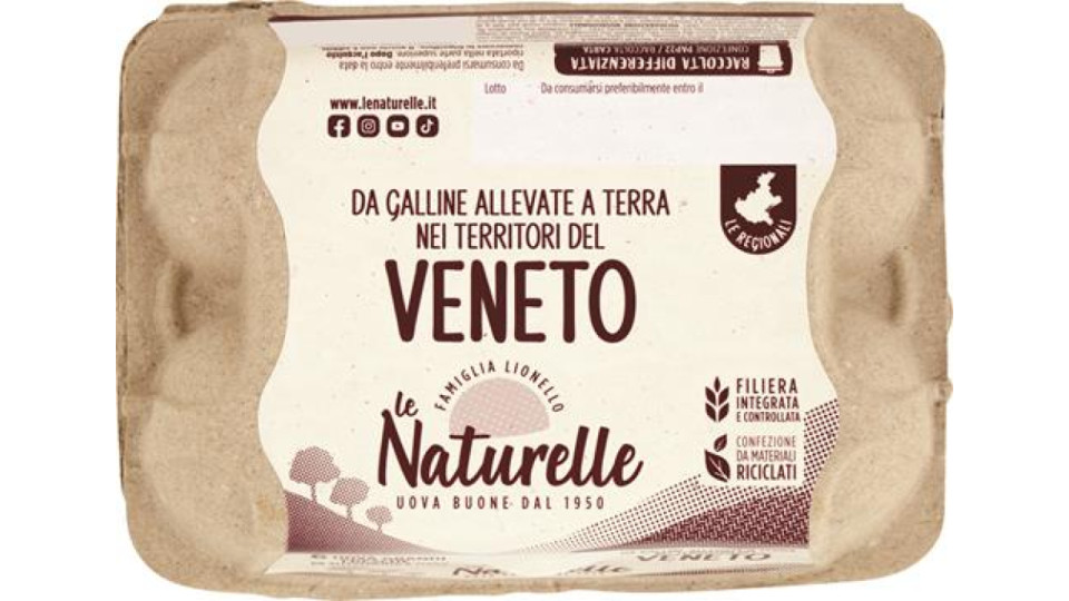 6 NATURELLE L TERRA VENETE