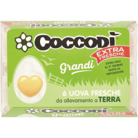 6 UOVA COCCODI FR. EXTRA FLESCIATI TERRA
