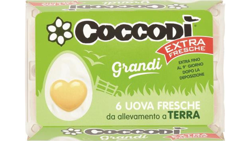 6 UOVA COCCODI FR. EXTRA FLESCIATI TERRA