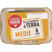 6 UOVA DA GALLINE ALLEVATE A TERRA