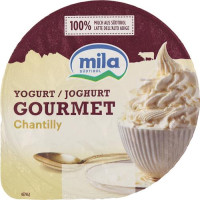 YOGURT GOURMET CHANTILLY