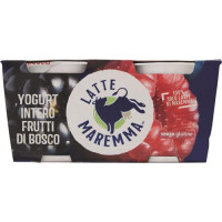 YOGURT INTERO FRUTTI BOSCO 2 X 125 GR. LATTE MAR.