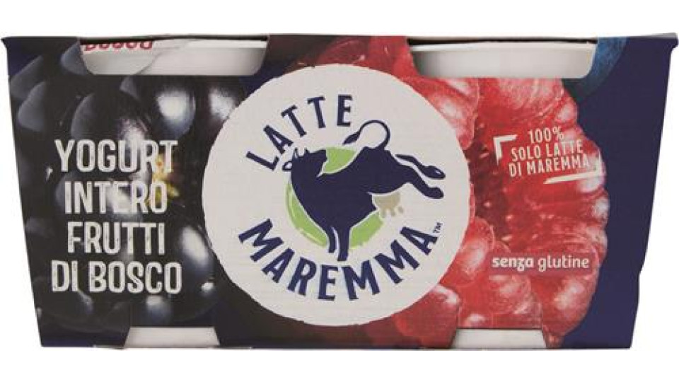 YOGURT INTERO FRUTTI BOSCO 2 X 125 GR. LATTE MAR.