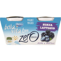 YOGURT SENZA LATTOSIO ZERO GRASSI MORE MIRTILLI