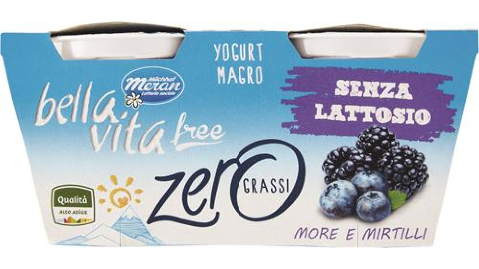 YOGURT SENZA LATTOSIO ZERO GRASSI MORE MIRTILLI