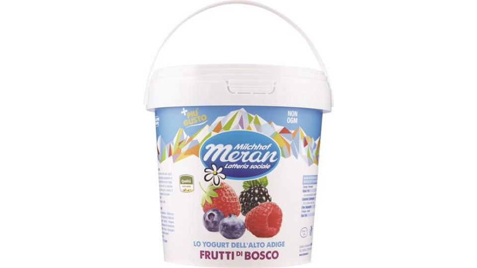 YOGURT MERANO 1KG INTERO FRUTTI DI BOSCO