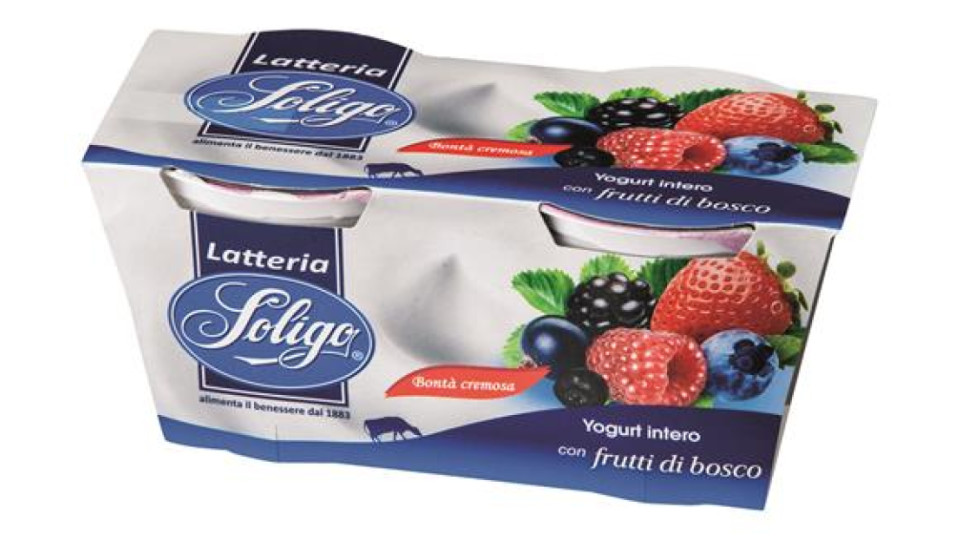 2 YOGURT F.BOSCO SOLIG