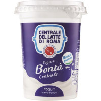 YOGURT INTERO