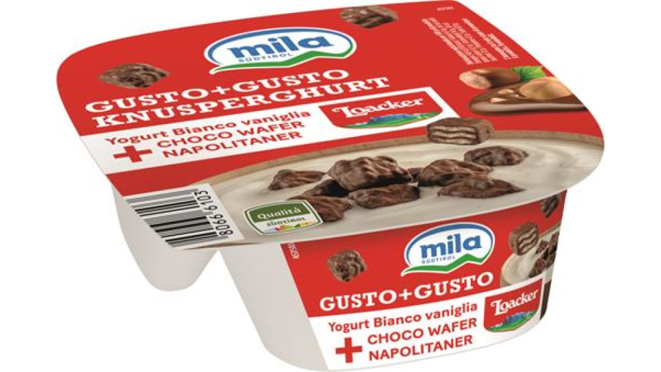 G+G YOGURT BIANCO VANIGLIA + CHOCO WAFER NAPOLITANER