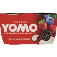 YOGURT AI FRUTTI DI BOSCO X2