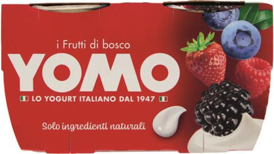 YOGURT AI FRUTTI DI BOSCO X2