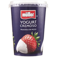 MULLER FRUTTA FRAGOLA GR500