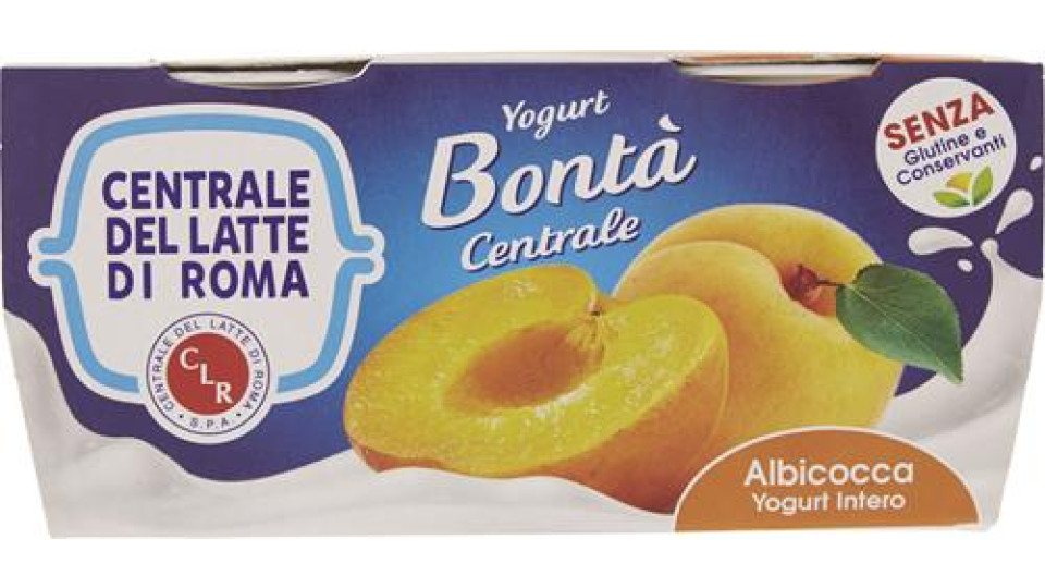YOGURT INTERO ALBICOCCA