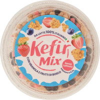 KEFIR MIX GRANOLA FRUTTI DI BOSCO