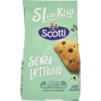 BISCOTTO CON GOCCE DI CIOCCOLATO