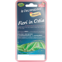FOGLIOLINE IN OSTIA