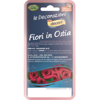 ROSELLINA OSTIA ROSA