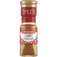 CURRY EXTRA PICCANTE CON TAPPO SPARGITORE SERIE ORO