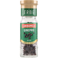 BACCHE DI GINEPRO
