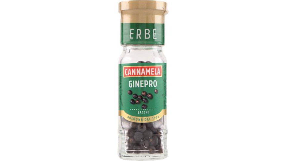 BACCHE DI GINEPRO