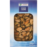 COZZE CILENE